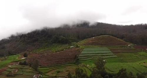 Mountain Of Magics — Ooty