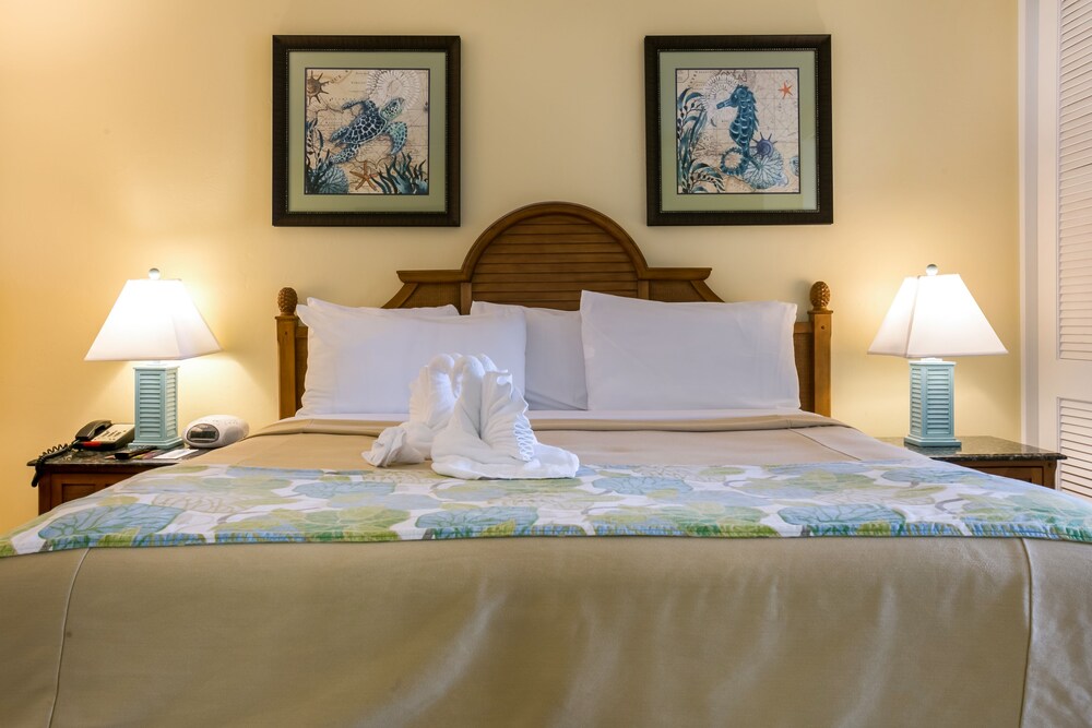 Sandpiper Gulf Resort - photo 19