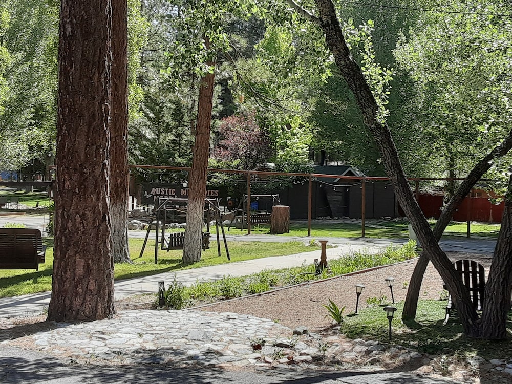 Grey Squirrel Resort - photo 170