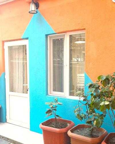 Style Apartment with Courtyard
