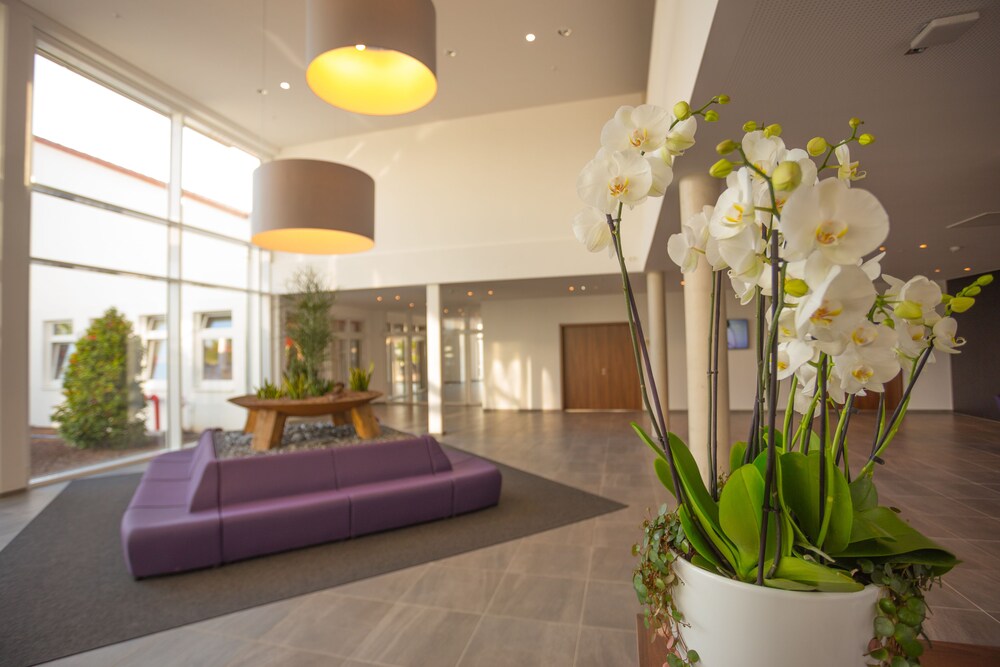 Hotel absolute gut Hotel Collection — Gernsheim — photo 3