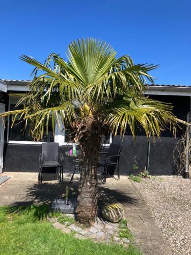 Strandhuset - carbon neutral hotel in Broager