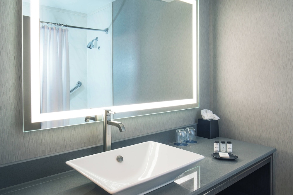 Sheraton Springfield Monarch Place Hotel - photo 15