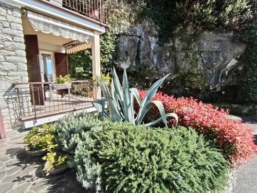 Citrus Apartment Brenzone — 4-Star Luxury Hotel in Brenzone, Italy