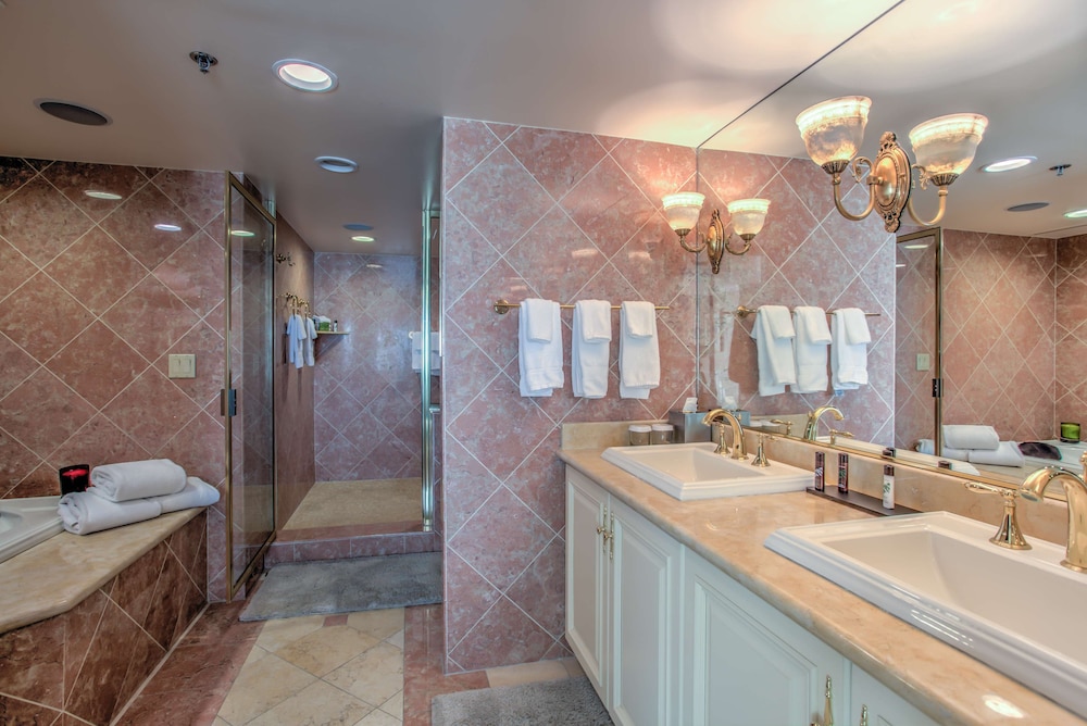 Embassy Suites by Hilton Convention Center Las Vegas - photo 38