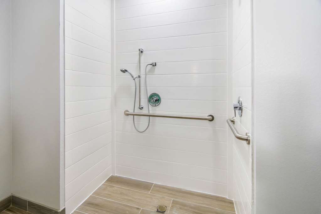 Comfort Suites DeSoto Dallas South - photo 10