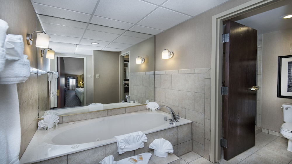Holiday Inn Springdale Fayetteville Area by IHG - photo 29