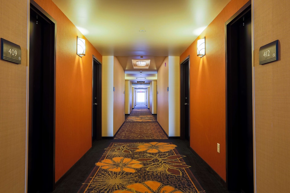 Hilton Garden Inn Indiana at IUP - photo 4