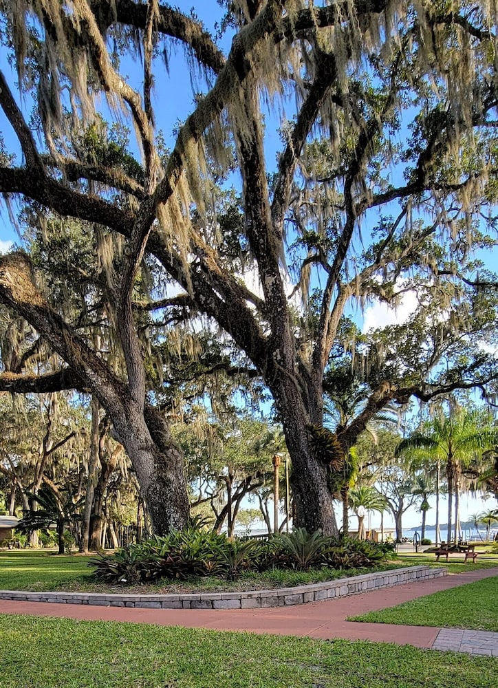 Tropical Resort & Marina on Lake Beresford - photo 30
