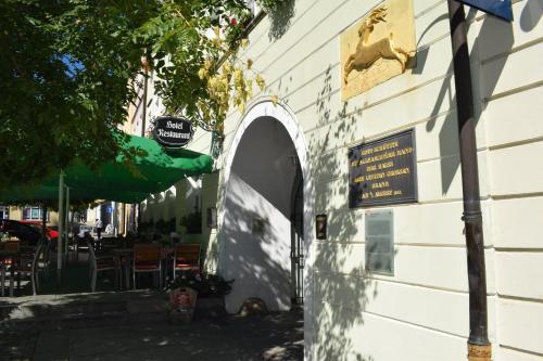 Akzent Hotel Goldner Hirsch — hotel in Kamenz