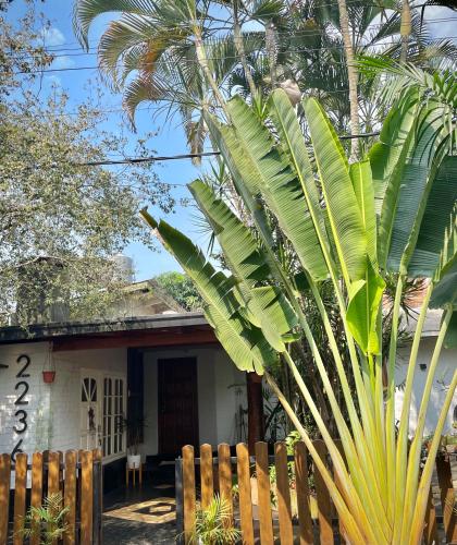 Casa Calma — Eldorado — photo 2