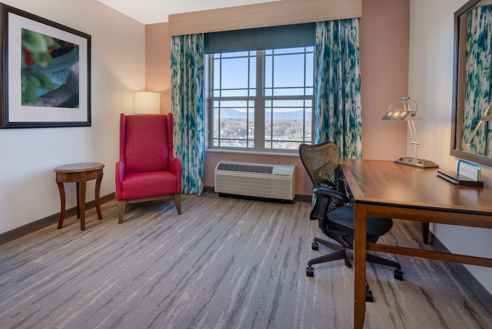 Hilton Garden Inn Roanoke - photo 6