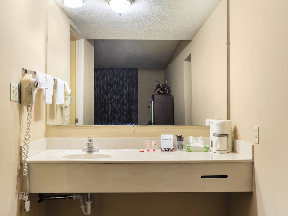 Mansion View Inn and Suite - photo 58
