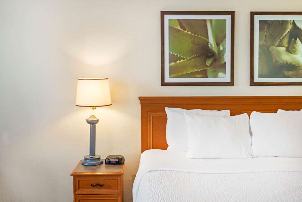 La Quinta Inn & Suites by Wyndham Tampa Brandon West - photo 30