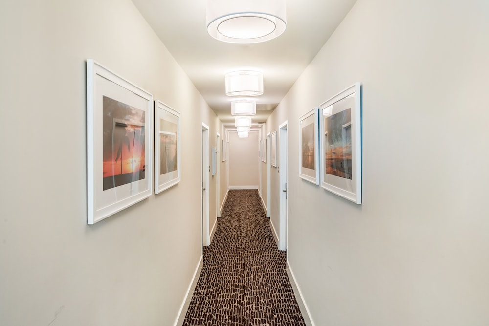 President Hotel - photo 137