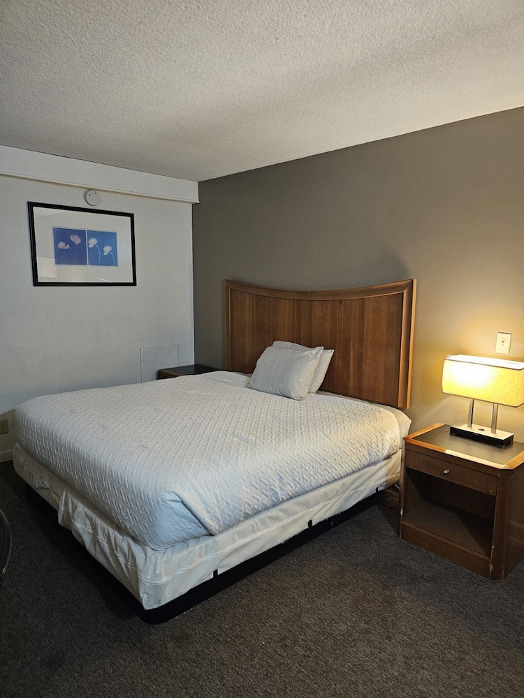 Hastings Inn - photo 22