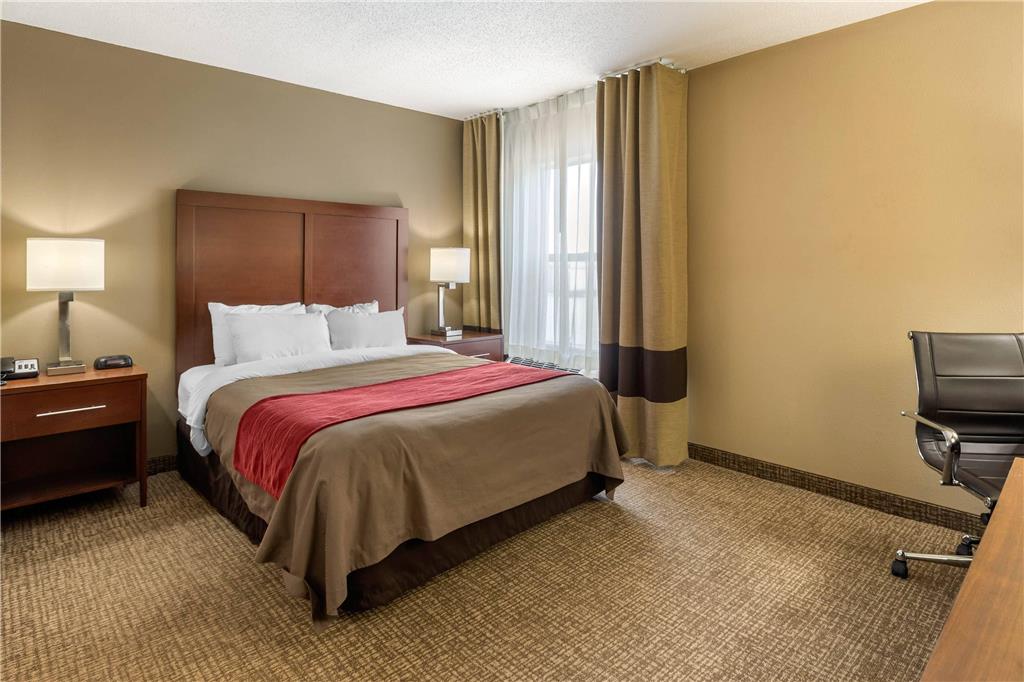 Comfort Inn Walcott near Davenport - photo 20
