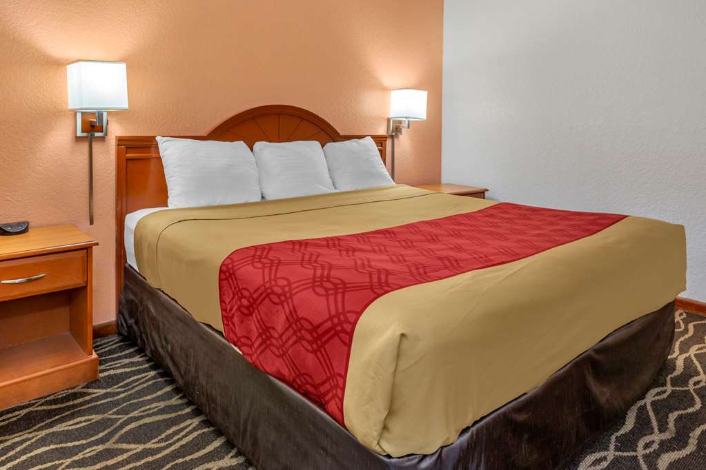 Econo Lodge Inn & Suites Albany North - photo 23