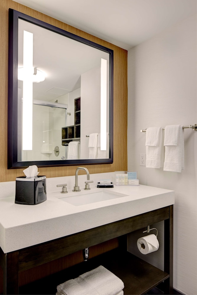Hampton Inn Brooklyn Downtown - photo 19