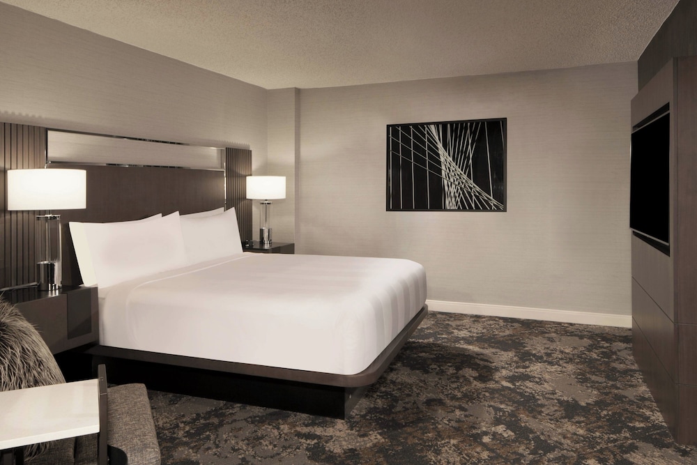 Dallas Fort Worth Airport Marriott - photo 13