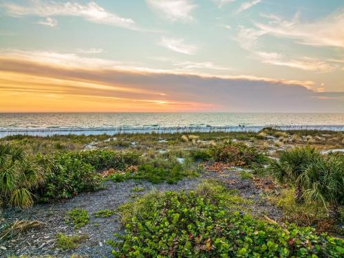 Low Tide - photo 22