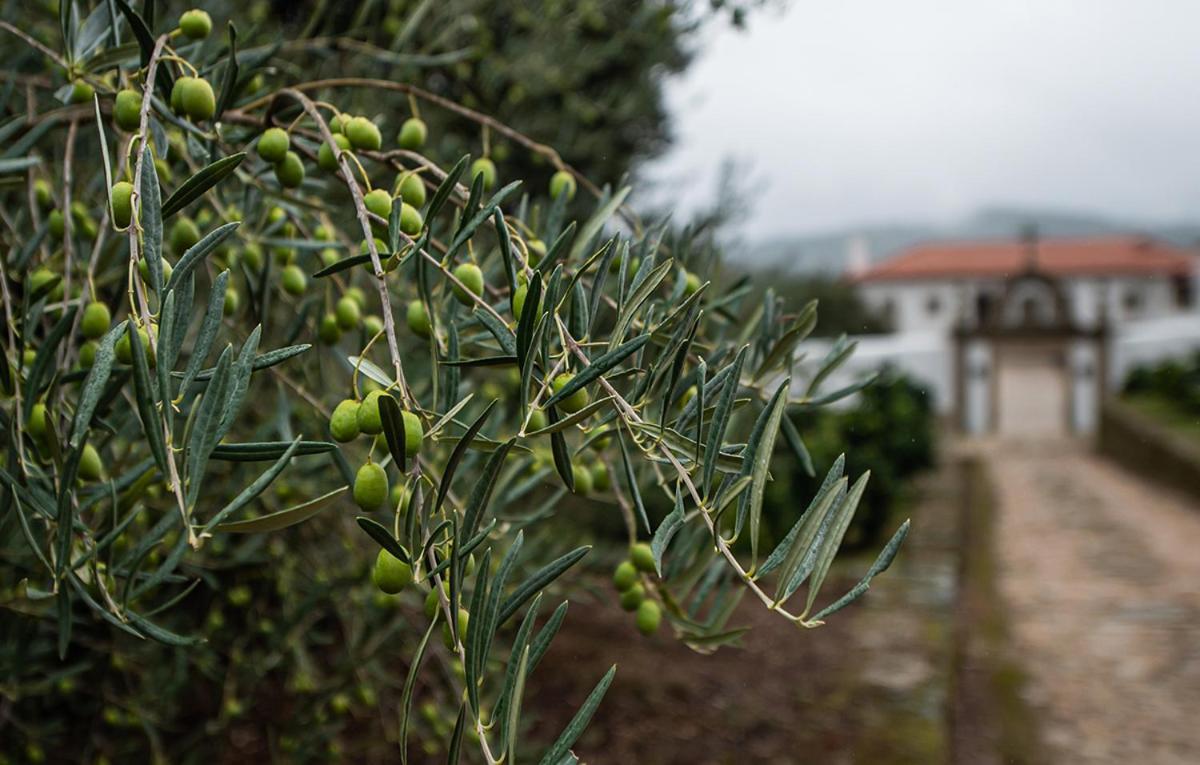 Casa do Olival — 4-Star Luxury Hotel in Tarouca, Portugal