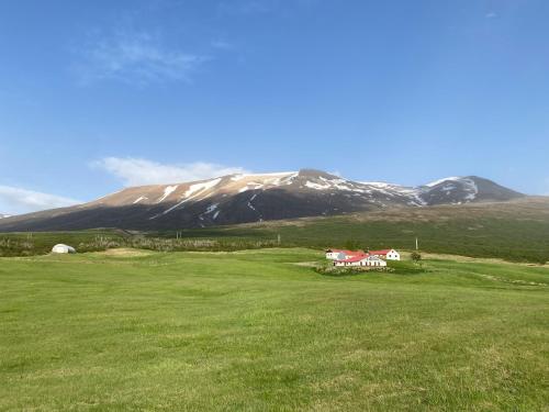 Litla Sandfell Guesthouse