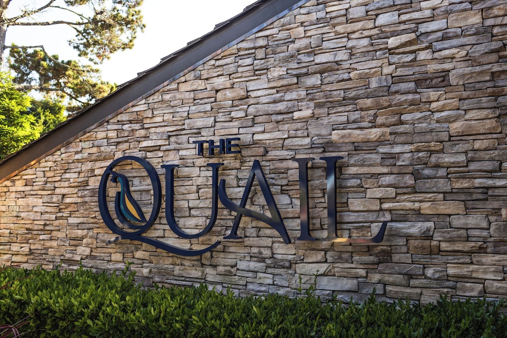 The Quail - photo 78