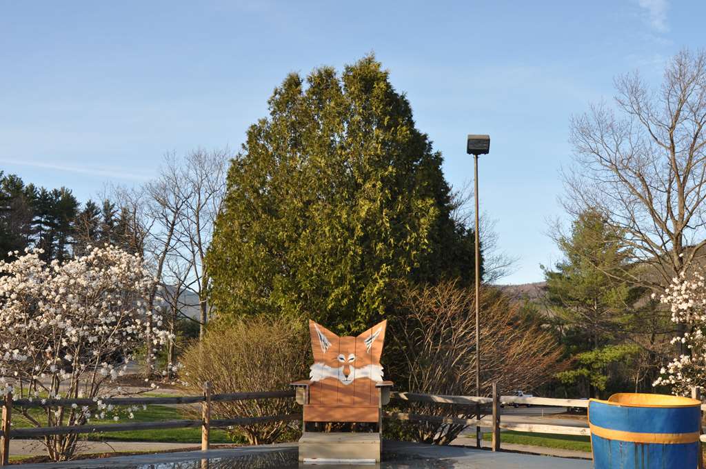 Fox Ridge Resort - photo 27