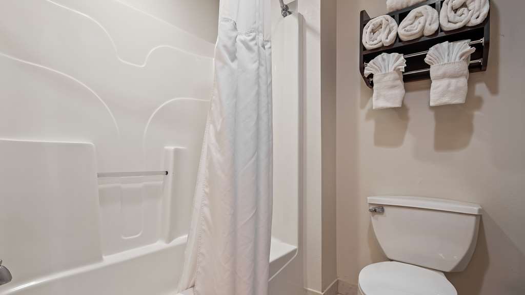 Best Western Plus O'Hare International South Hotel - photo 11