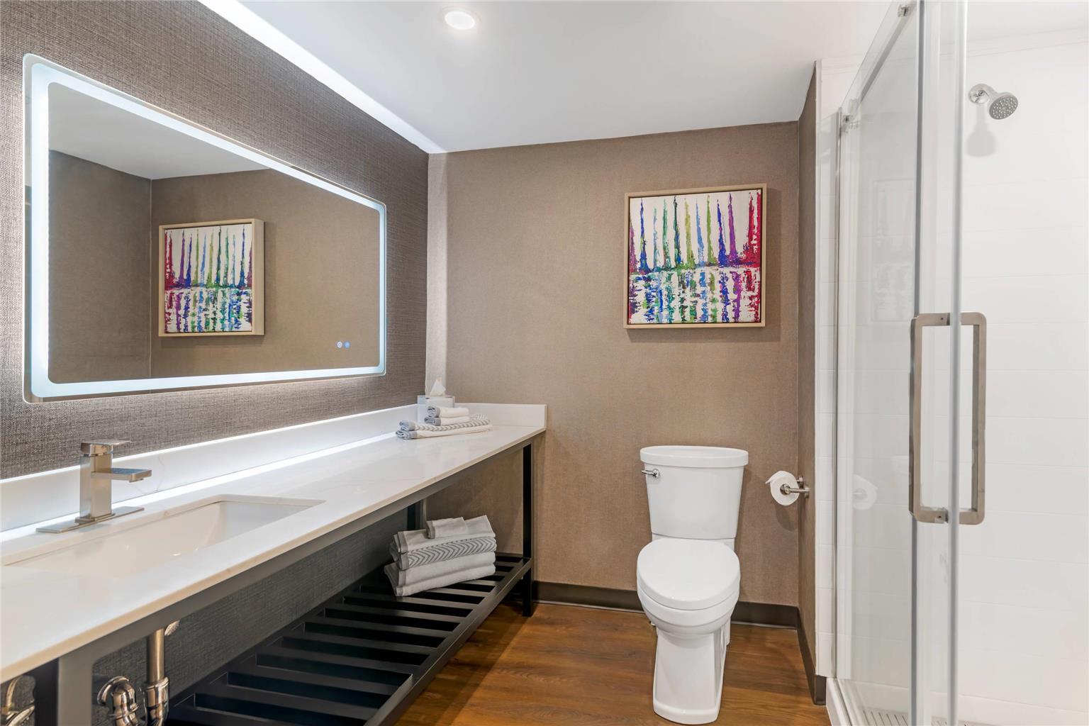 Cambria Hotel & Suites Plymouth - photo 29