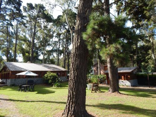 Cabañas Altos del Bosque — 4-Star Luxury Hotel in Mar Del Plata, Argentina