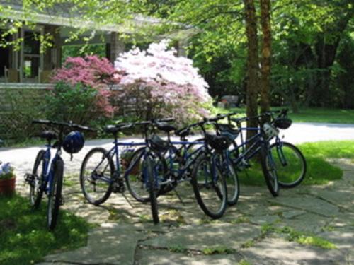 Orient Inn - photo 15