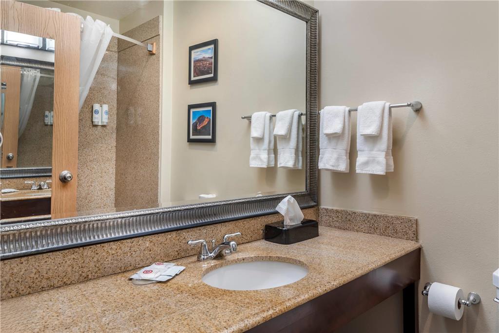 Comfort Inn & Suites Durango - photo 30