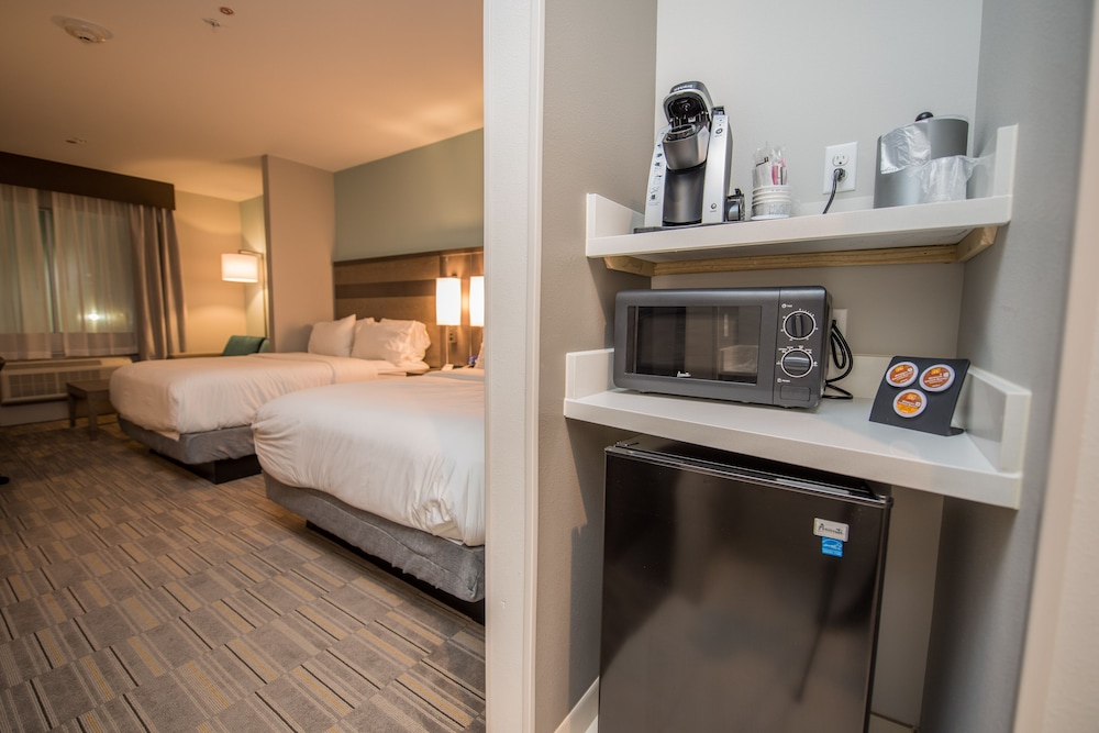 Holiday Inn Express & Suites Lake Charles South Casino Area by IHG - photo 34