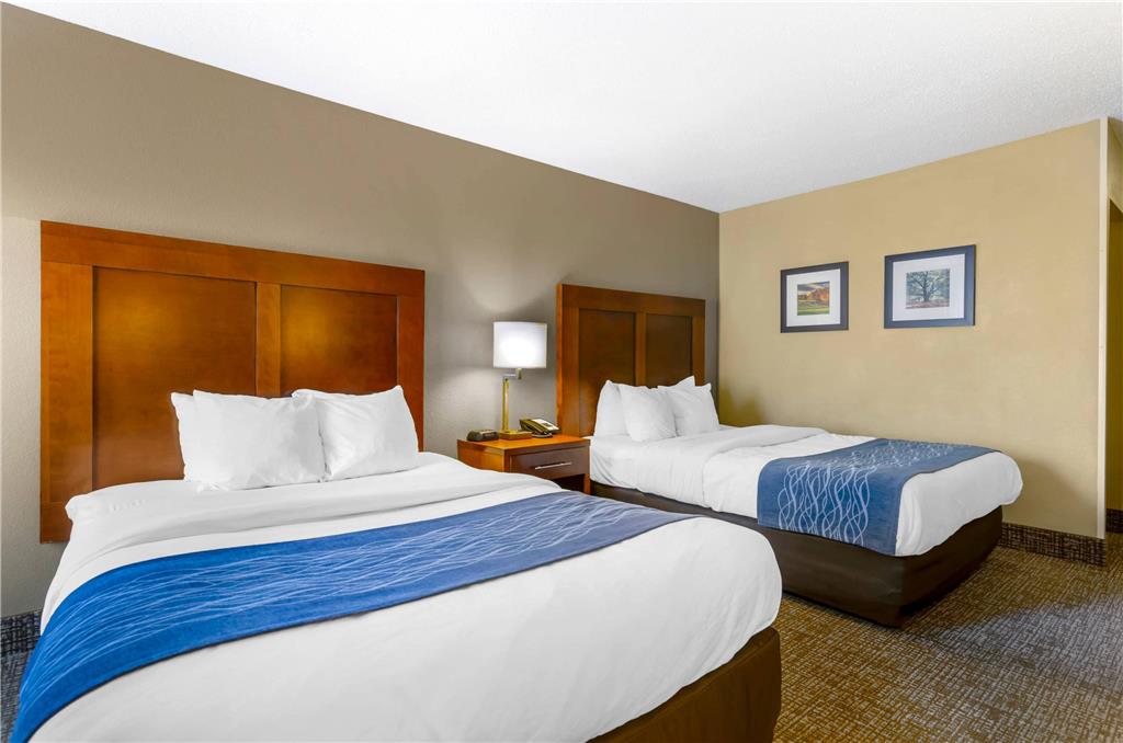 Comfort Inn & Suites Christiansburg I 81 - photo 10