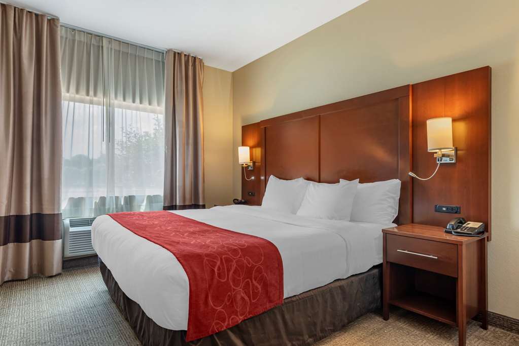 Comfort Suites Mason near Kings Island - photo 4