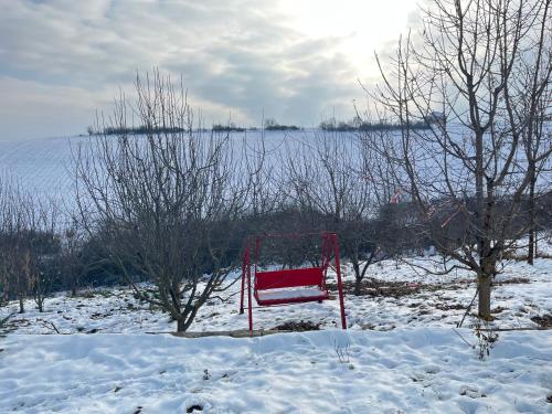 Orchard — Quba — photo 2