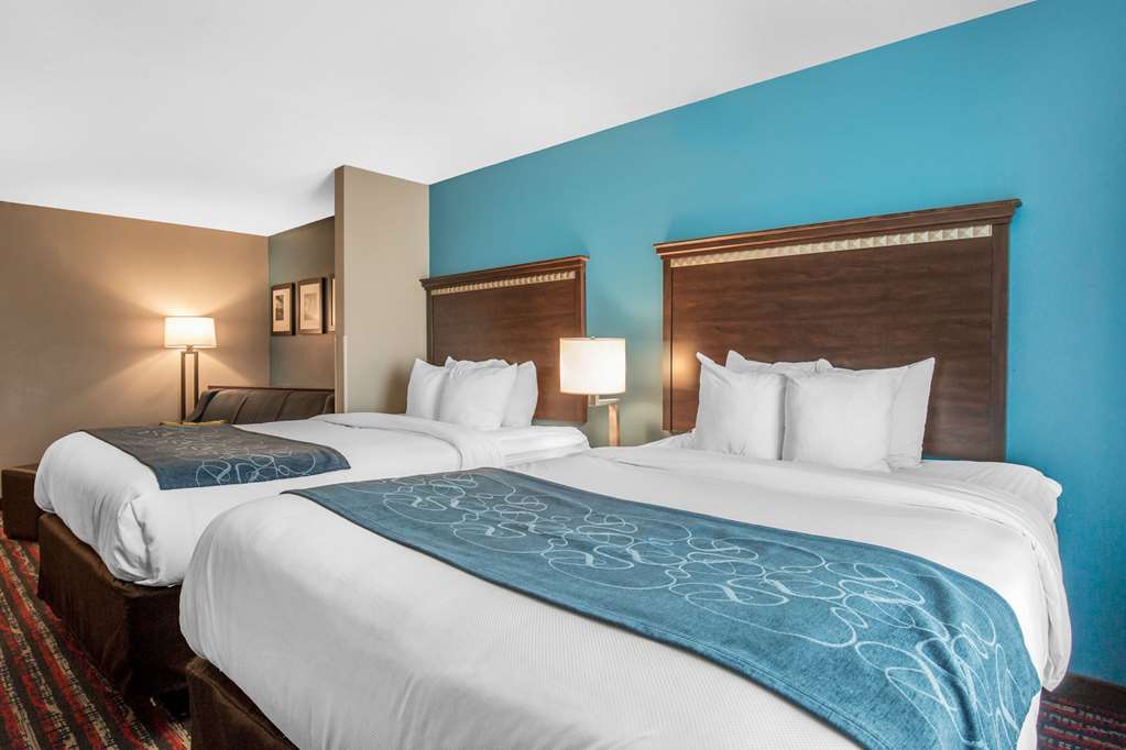 Comfort Suites Fairview Heights St. Louis - photo 23