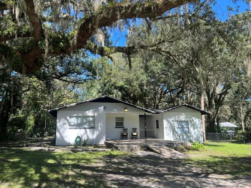 Country Welcome — Gainesville