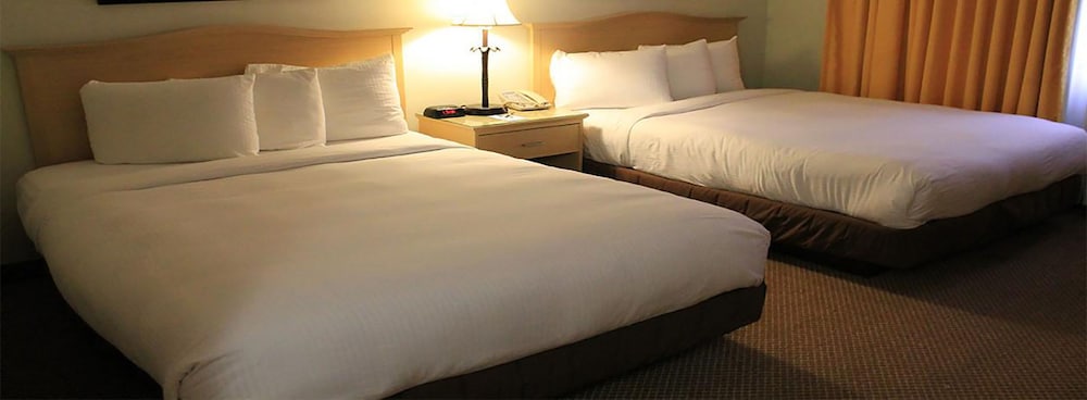 Isle of Capri Casino Hotel Lula A Caesars Rewards Destination - photo 10