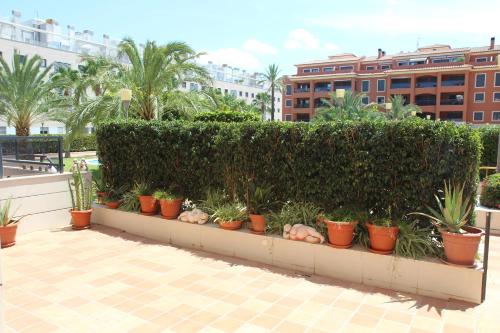 AP1115 Jardines de las Marinas — Denia — photo 5