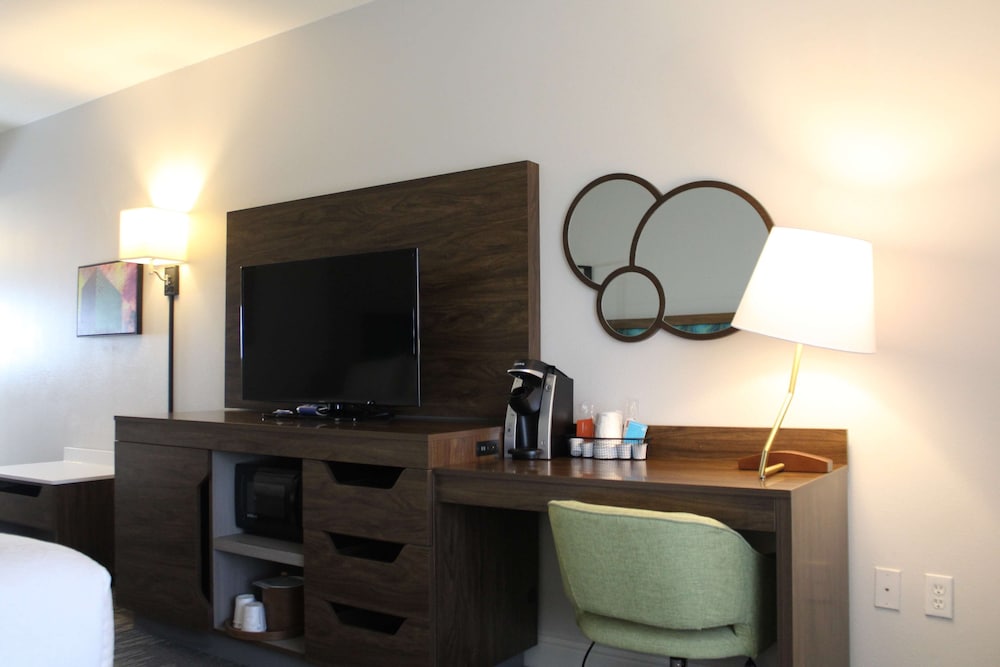 Hampton Inn & Suites Sarasota Bradenton Airport FL - photo 23