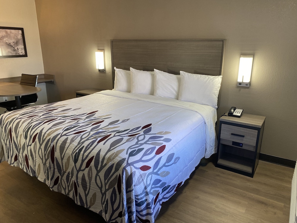 Red Roof Inn Jacksonville AL - photo 8