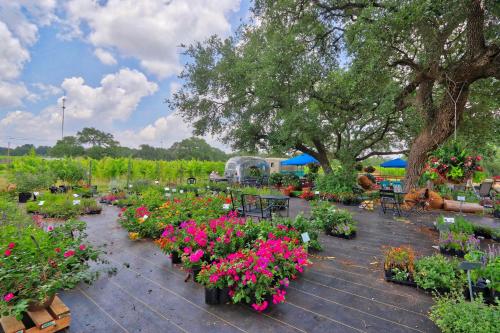 Fall Creek Vineyards Wine Country Inn - photo 23