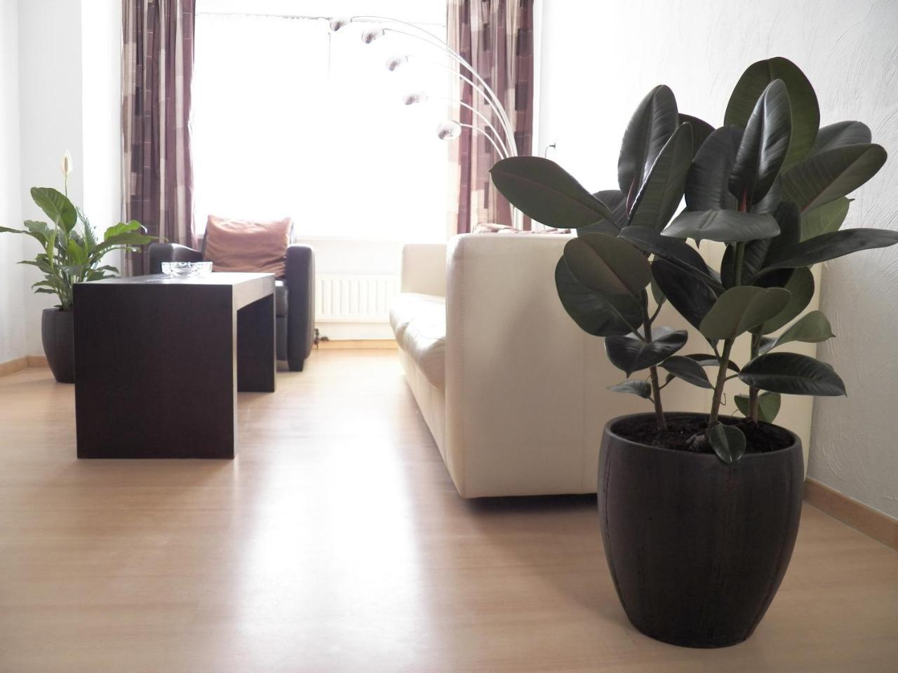 House@Domburg — 4-Star Luxury Hotel in Domburg, Netherlands