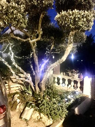 Romantic room for two persons in Porec, Croatia