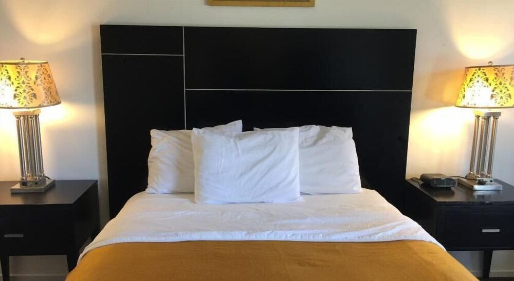 Tropics Motor Hotel - photo 8