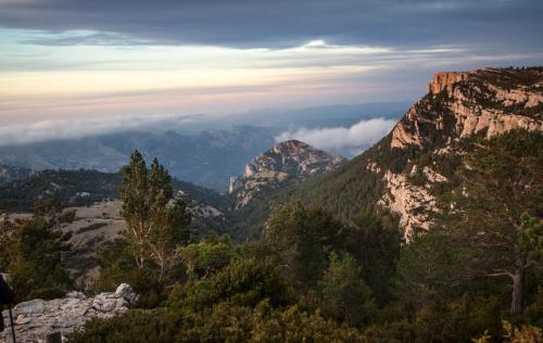 La Remulla — Horta De Sant Joan — photo 2