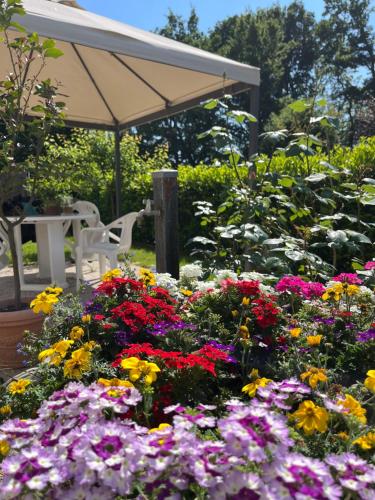 Appartamento In Villa A Triuggio Monza Brianza 22092309 — Triuggio